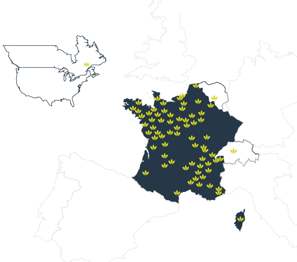 Carte des Toutilos