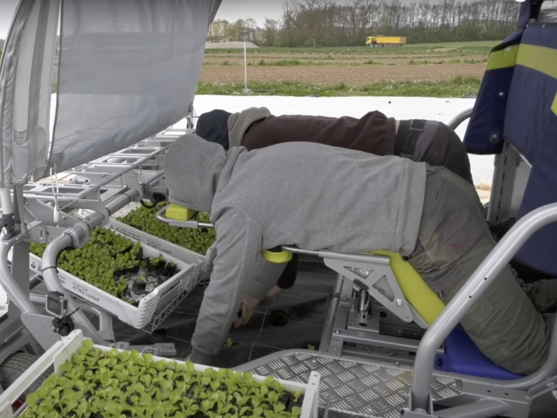 Réception d’un Toutilo à La Ferme Saint Blaise